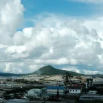 Animale care și-au schimbat comportamentul din cauza urbanizării