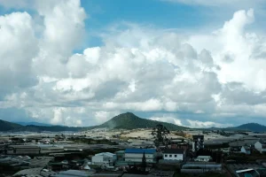 Animale care și-au schimbat comportamentul din cauza urbanizării